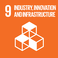 Industry, Innovation and Infrastructure - SDG 9 algar